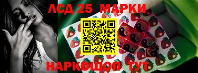 стаф Будённовск