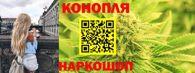 стаф Будённовск
