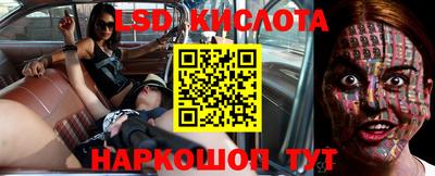 стаф Будённовск