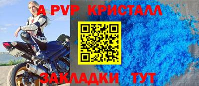стаф Будённовск