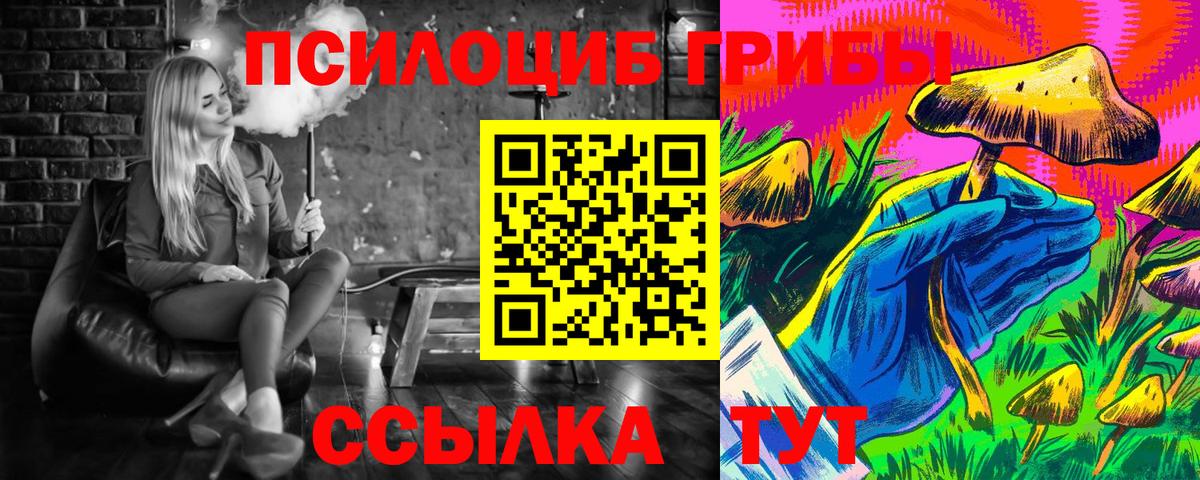 Галлюциногенные грибы Cubensis Коркино