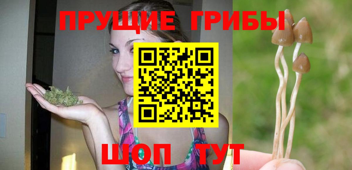 цена   Псилоцибиновые грибы MAGIC MUSHROOMS  Вход с VPN  Коркино 